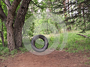 Tire Swing Nostalgia