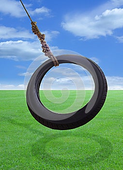Tire Swing photo
