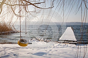 Tire swing on tree at the lake in winter, near old fishing bridge