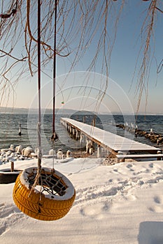 Tire swing on tree at the lake in winter, near old fishing bridge