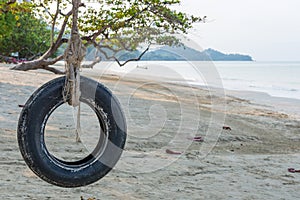 Tire swing under tree on ocean beach