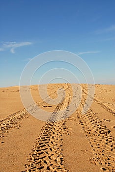 Tire traces in a dune