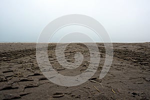 Tire track of an all terrain vehicle of an emergency service fire, police, rescue squad