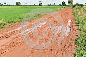 Tire track of many vehicle on soil mud road in countryside in rainy season