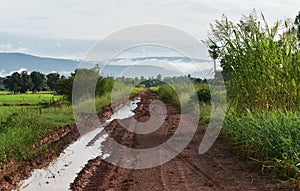 Tire track of many vehicle on soil mud road in countryside in rainy season