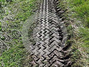 Tire track patterns in muddy soil photo