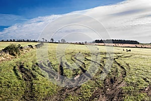 tire tracks in agricultural field photo