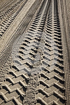 Tire tracks on a beach