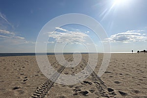 Tire tracks on Cape May beach