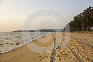 A tire tracks of a car in the sand of a sea beach against the background of the sea and green trees