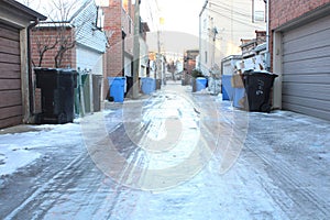 Icy Alley, January, Winter, Chicago, Illinois USA photo