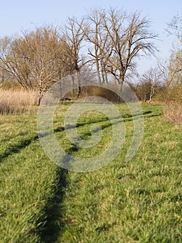 Tire tracks on green grass