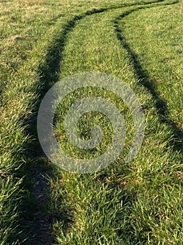 Tire tracks on green grass