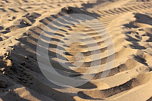 Tire tracks of a large vehicle in sand on building area to road.