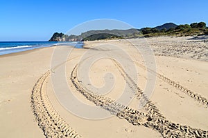 Tire tracks on a long stretch of beach