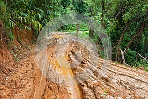 Tire tracks on a muddy road.