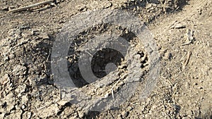 Tire tracks on a muddy road