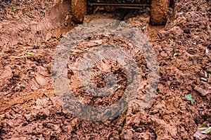 Tire tracks on a muddy road.