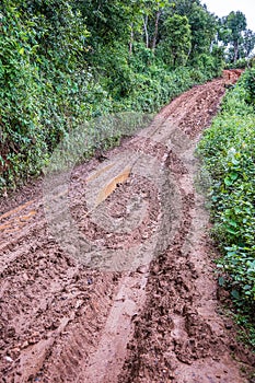 Tire tracks on a muddy road.