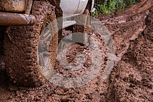 Tire tracks on a muddy road.