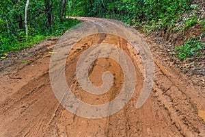 Tire tracks on a muddy road