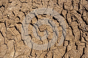 Tire tracks print on dirty red soil. Wheel marks of truck on soil texture background. Tyre track on sand texture