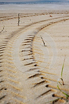 Tire Tracks Prints in Sand on a Beach