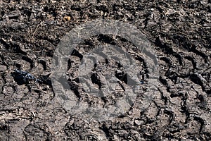 Tire tracks protector on dirt. Wheel`s trail tread, close up