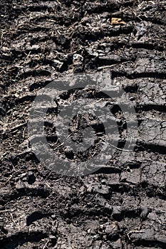 Tire tracks protector on dirt. Wheel`s trail tread, close up