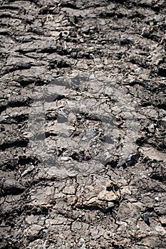 Tire tracks protector on dirt. Wheel`s trail tread, close up