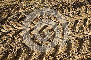 tire tracks on the sand