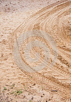 Tire tracks in the sand