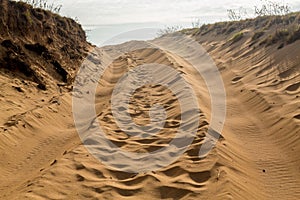 Tire tracks in sand dunes over hill