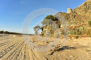 Tire tracks in sandy beach road Baja California Sur, Mexico