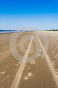 Tire tracks and shoe prints lead to the horizon on a golden sand beach