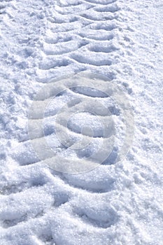 Tire Tracks in the Snow