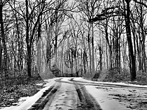 Tire Tracks on Snow Covered Road Through Forest