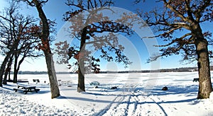 Tire Tracks in Snow, Oak Trees, Pell Lake, Wisconsin photo