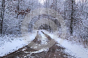 Tire Tracks Through Snow On One Lane Road