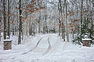 Tire Tracks in Snow in Tree Lined Winter Driveway