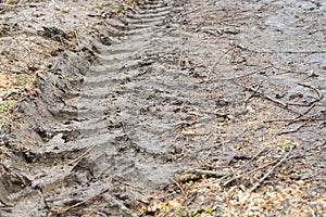 Tire tread of car wheels in the mud.