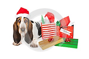 Tired Basset Santa With Gifts