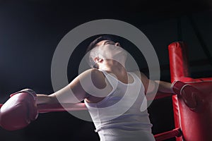 Tired boxer resting on the ropes in boxing ring, looking up