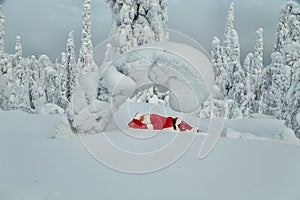 Tired Santa Claus fell asleep in the open air.