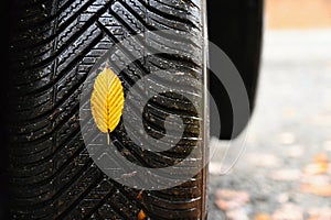 Tires with leaves and car on wet road in autumn season. Foggy and dangerous driving - concept for traffic and road safety
