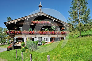 Tirol's House