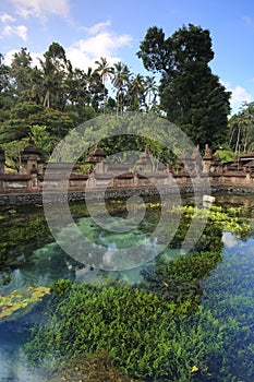 Tirta Empul Famous Sacred Bath Water Fountain Bali