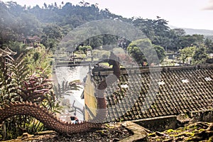 Tirta Gangga water palace in Bali