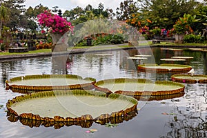 Tirta Gangga Water Palace, Bali, Indonesia