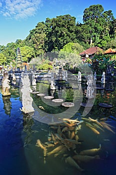 The Tirtagangga Water Castle Karangasem Bali